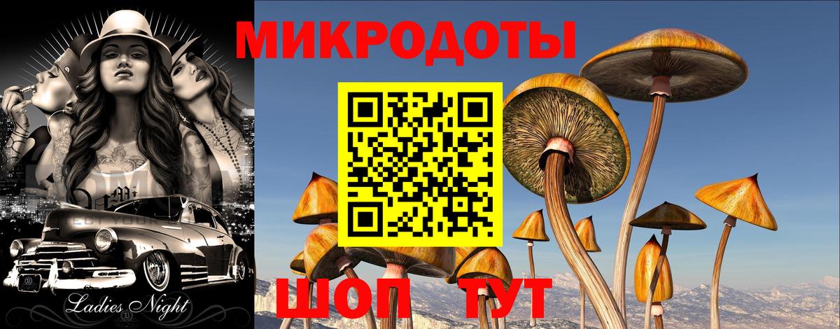 Псилоцибиновые грибы Psilocybe Верхняя Салда