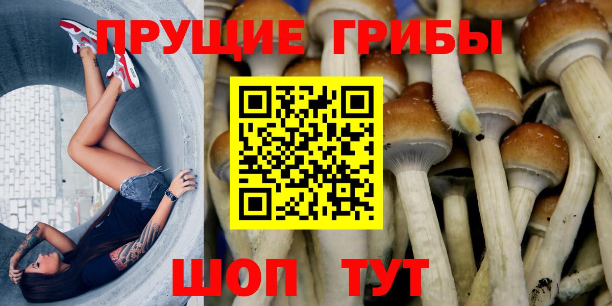 Псилоцибиновые грибы Psilocybine cubensis  Вход с VPN  Псилоцибиновые грибы ЛСД  Верхняя Салда 